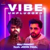 About Vibe (Unplugged) Song