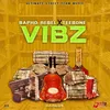 About Vibz Song