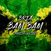 About Bam Bam Spanish Version Song