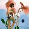 About Igloo Song