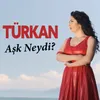 About Aşk Neydi Song