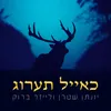 About כאייל תערוג Song
