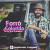 About Forró Colorido Song