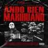 About Ando Bien Marihuano Version Corta Song