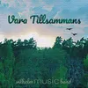 About Vara tillsammans Song