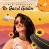 About Ne Güzel Geldin Song