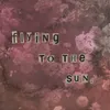 About Flying to the Sun Song