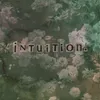 Intuition