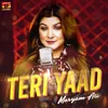 About Teri Yaad Song