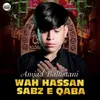Wah Hassan Sabz E Qaba