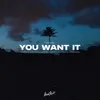 About You Want It Song