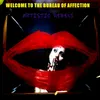 About Welcome to the Bureau of Affection Song