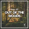 About Out Of The Woods Song