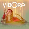 About Víbora Song