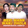 Meri Mann Wanj Dhola