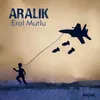 Aralık