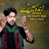 About Zinda Hussain Hai Song