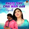 About Photo Tery Chai Wadi Aan Song