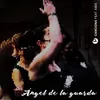 About Ángel de la Guarda Song