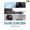 About Aaxaare Siluwa Jibon Song