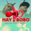 About Hay Bobo Song