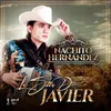 About La Silla de Javier Song