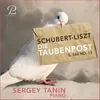 About Schwanengesang, No. 13: Die Taubenpost (After Schubert), S. 560 Song