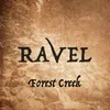 About Forest Creek Song