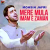 About Mere Mula Imam E Zaman Song