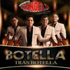 About Botella Tras Botella Song