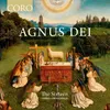 Messa a 4 da cappella, SV 257: Agnus Dei