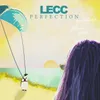 About Perfection Song