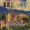 About Granada Instrumental Song