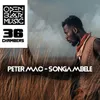 About Songa Mbele Song