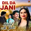 About Dil Da Jani Song