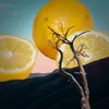 Lemontree