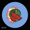 About Watermelon Sugar Song