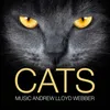 Memory From Cats the Musical