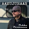 About Aamujunaan Song