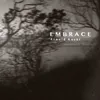 About Embrace Song