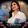 About Te Quiero Perú Song