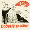 Cosmic Suicide