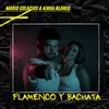 Flamenco y Bachata