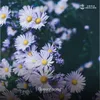 flower song Meditation Edit