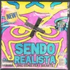 About Sendo Realista Remix Song