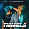 About Tiembla Song
