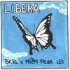 About Libera Song