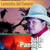 Invitación a los Llaneros