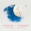 About Hedfan i Ffwrdd Song