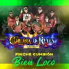 About Pinche Cumbión Bien Loco Song